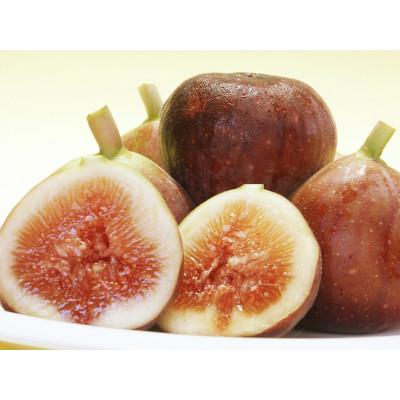 ふるさと納税 和歌山市 和歌山産 いちじく 秀品800g(400g ×2パック)