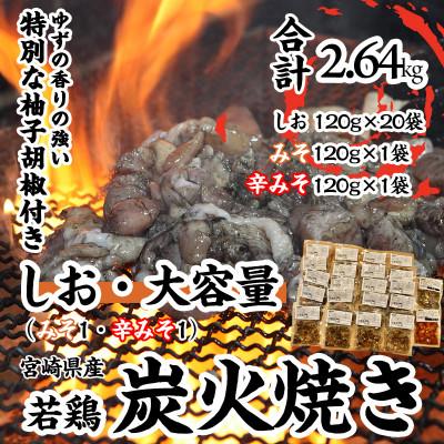 ふるさと納税 宮崎市 [しお・大容量]冷凍20パック 本場宮崎「小料理ひゅう」宮崎県産若鶏炭火焼+[みそ・辛みそ]2パック