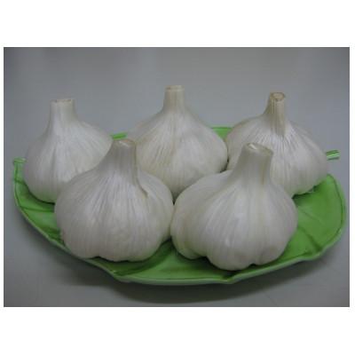 ふるさと納税 さぬき市 乾燥にんにく 1kg