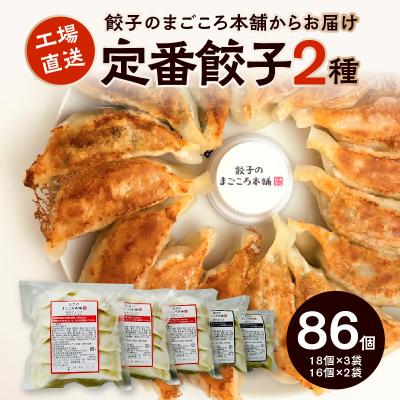 ふるさと納税 久留米市 2種類の定番餃子5袋セット