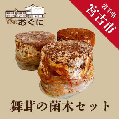 ふるさと納税 宮古市 [家庭で楽しめる]舞茸の菌木 3個