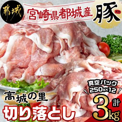 ふるさと納税 都城市 都城産豚「高城の里」切落とし 小分け真空パックで3kg!
