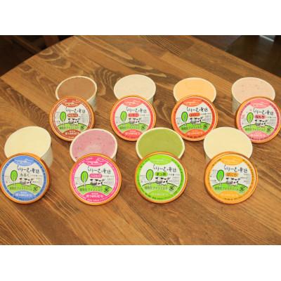 ふるさと納税 弟子屈町 [のし付き]北海道 くりーむ童話アイスクリーム8種類 100ml×8