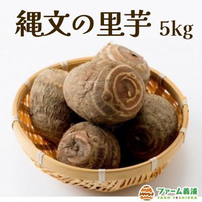 ふるさと納税 小矢部市 富山県小矢部市産「縄文の里芋」5kg