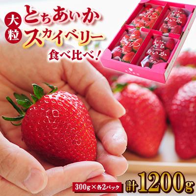 ふるさと納税 佐野市 [春イチゴ] 食べ比べ!大粒『スカイベリー』、『とちあいか』300g×2パックずつ