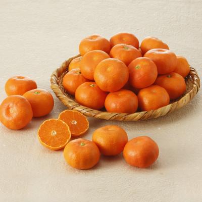 ふるさと納税 東かがわ市 ハウス小原紅早生みかん(さぬき紅) 約1.2kg