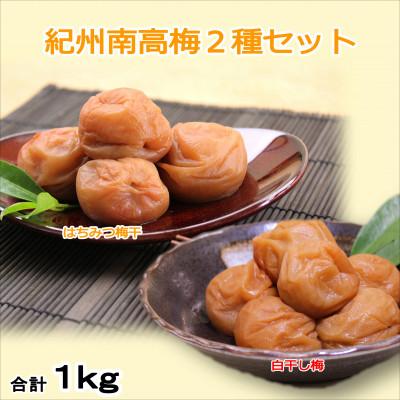 ふるさと納税 印南町 紀州南高梅 はちみつ500g・白干梅500g 食べ比べセット