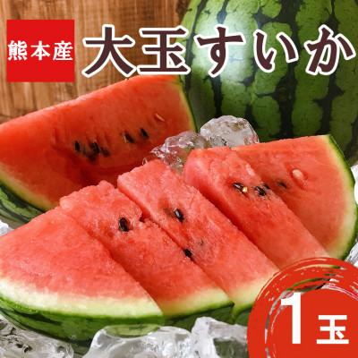ふるさと納税 和水町 熊本県 和水町産 大玉スイカ1玉