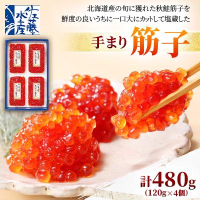 ふるさと納税 石狩市 佐藤水産の手まり筋子 480g(120g×4個) | 