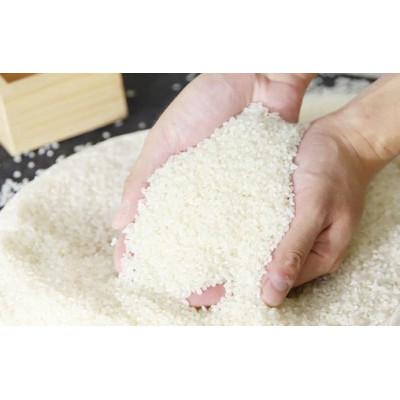 ふるさと納税 朝来市 食味値が高く低農薬のコシヒカリ3kg【円山川源流域の清流で育った米】 |  | 01