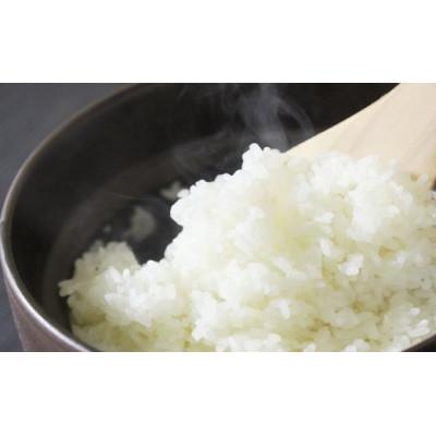 ふるさと納税 朝来市 食味値が高く低農薬のコシヒカリ3kg【円山川源流域の清流で育った米】 |  | 02