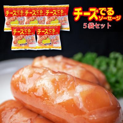 ふるさと納税 花巻市 銀河フーズ チーズでるソーセージ(5袋セット)