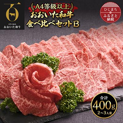 ふるさと納税 日出町 おおいた和牛 食べ比べセットB( 上カルビ &amp; 上ロース )(合計400g)2〜3人前