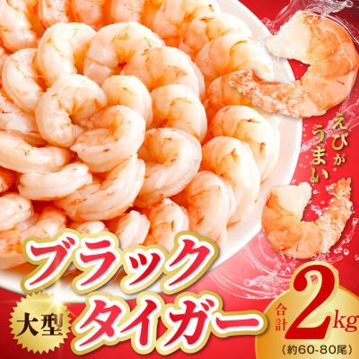 ふるさと納税 泉佐野市 高級ブラックタイガー 2kg 大型 むきえび 60-80尾 背ワタなし | 
