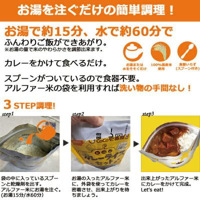 ふるさと納税 江南市 Coco壱番屋監修 尾西のカレーライスセット 10食セット_1
