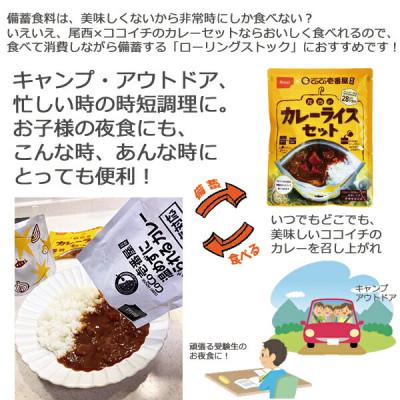 ふるさと納税 江南市 Coco壱番屋監修 尾西のカレーライスセット 10食セット_2