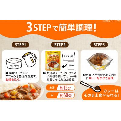ふるさと納税 江南市 Coco壱番屋監修 尾西のマイルドカレーライス