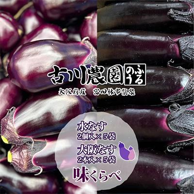 ふるさと納税 富田林市 [産地直送]古川農園「大阪なす」と「水なす」の食べ比べセット