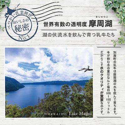 ふるさと納税 別海町 【北海道別海町産】べつかいの牛乳屋さん 1L×6本入 |  | 02
