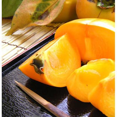 ふるさと納税 印南町 たねなし柿M〜2Lサイズ40〜32個詰7.5kg入箱