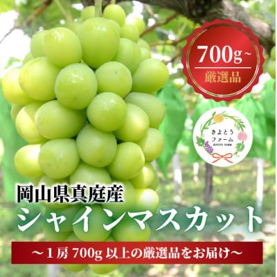 ふるさと納税 真庭市 [厳選品]大粒シャインマスカット1房 700g〜 (岡山県産) 果樹園厳選のシャインをお届け!