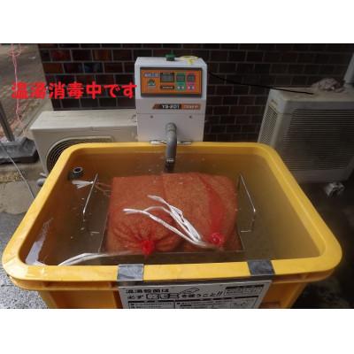 ふるさと納税 茂原市 【令和8年産】茂原市産こしひかり玄米10kg |  | 01