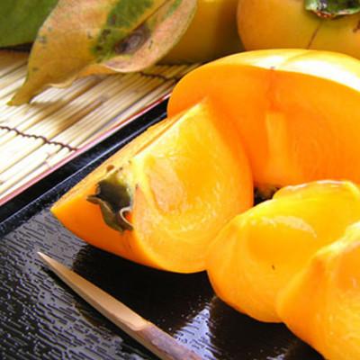 ふるさと納税 広川町 たねなし柿M~2Lサイズ 40~32個詰7.5kg入箱