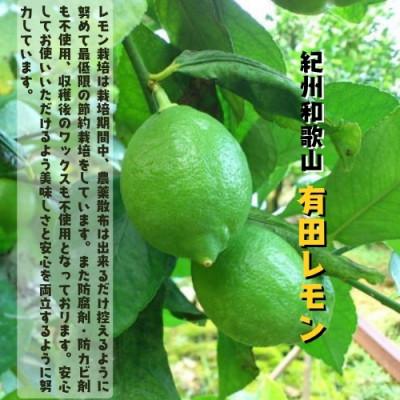 ふるさと納税 広川町 《先行受付・2026年9月下旬〜順次発送》紀州和歌山 有田レモン 1kg【防腐剤・ワックス不使用】 |  | 01