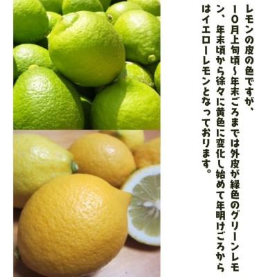 ふるさと納税 広川町 《先行受付・2026年9月下旬〜順次発送》紀州和歌山 有田レモン 1kg【防腐剤・ワックス不使用】 |  | 02