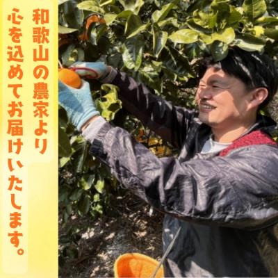 ふるさと納税 広川町 《先行受付・2026年9月下旬〜順次発送》紀州和歌山 有田レモン 1kg【防腐剤・ワックス不使用】 |  | 03