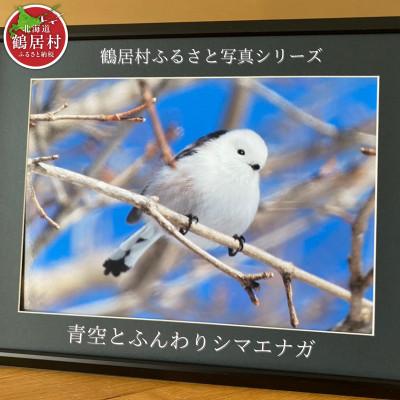ふるさと納税 鶴居村 北海道鶴居村 写真 額付き 農場カメラマン 鶴居村ふるさと写真シリーズ[青空とふんわりシマエナガ]