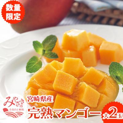 ふるさと納税 宮崎市 宮崎完熟マンゴー[大]2玉[宮崎市](R9年4月上旬以降順次発送)