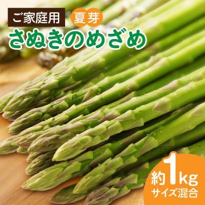ふるさと納税 三木町 ご家庭用アスパラガス「さぬきのめざめ」(セミロング)夏芽1kg