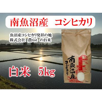 ふるさと納税 南魚沼市 [南魚沼産]コシヒカリ 白米 5kg 香り高く冷めてもおいしい農tistのお米
