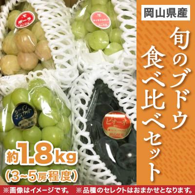 ふるさと納税 浅口市 旬のブドウ食べ比べセット