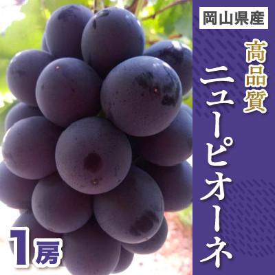 ふるさと納税 浅口市 高品質ニューピオーネ1房入り