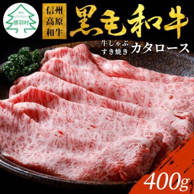 ふるさと納税 根羽村 信州高原和牛 カタロース 400g