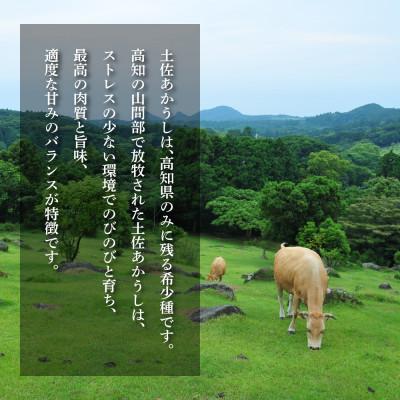 ふるさと納税 芸西村 創業50年老舗レストランの和牛あかうしハンバーグ120g×2ケ(ソース無し)【CDM007】 |  | 01
