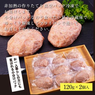 ふるさと納税 芸西村 創業50年老舗レストランの和牛あかうしハンバーグ120g×2ケ(ソース無し)【CDM007】 |  | 03