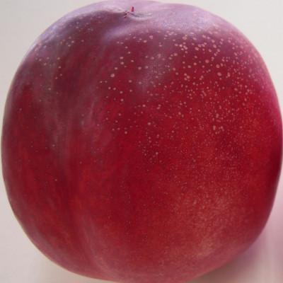 ふるさと納税 中野市 長野県中野市産スイートネクタリン 2kg(8〜14玉)の画像