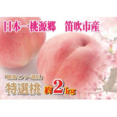 ふるさと納税 笛吹市 [糖度センサー選別]桃6〜8個 約2kg