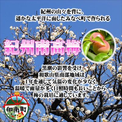 ふるさと納税 印南町 【家庭用】紀州南高梅　はちみつ漬つぶれ梅　2kg |  | 02