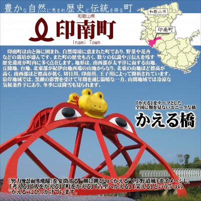 ふるさと納税 印南町 【家庭用】紀州南高梅　はちみつ漬つぶれ梅　2kg |  | 03
