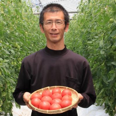 ふるさと納税 朝来市 甘味・酸味・旨味のバランスが絶妙!坪井農園直送 こだわりトマト (12〜15個)
