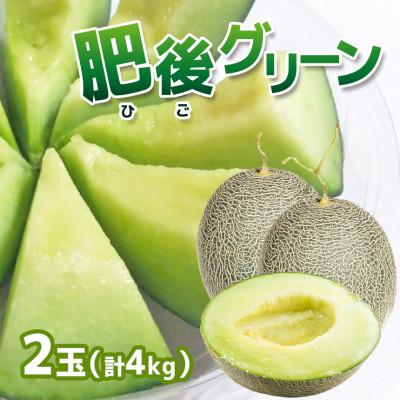 ふるさと納税 山鹿市 [2026年発送] 肥後グリーンメロン 2玉 合計約4kg