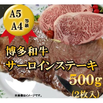 ふるさと納税 大川市 [A5A4等級使用]博多和牛サーロインステーキ用500g(2枚入) (大川市)