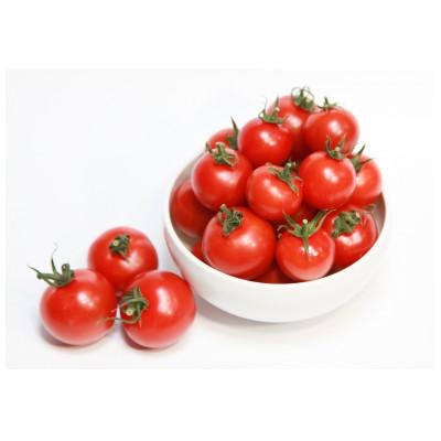 ふるさと納税 袋井市 機能性表示食品 Hapitoma ハピトマ わけあり(1.8kg)