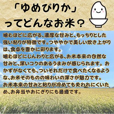 ふるさと納税 深川市 【令和8年産・先行予約】北海道深川産ゆめぴりか10kg(5kg×2袋)(普通精米) 新米 お米 |  | 02