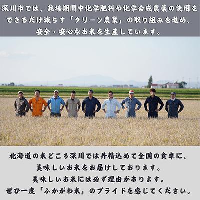 ふるさと納税 深川市 【令和8年産・先行予約】北海道深川産ふっくりんこ10kg(5kg×2袋)(普通精米) 新米 お米 |  | 01