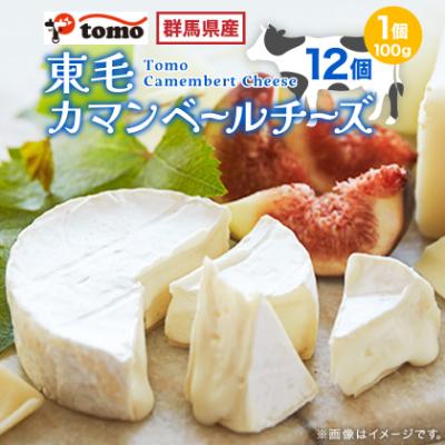 ふるさと納税 太田市 群馬県太田市 東毛カマンベールチーズ12個セット